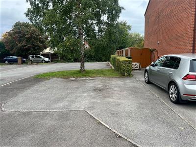 Picture 14